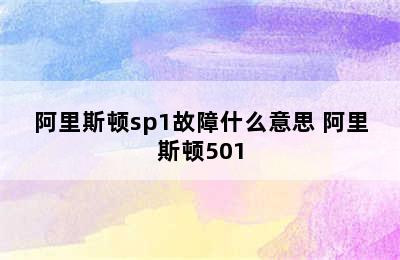 阿里斯顿sp1故障什么意思 阿里斯顿501